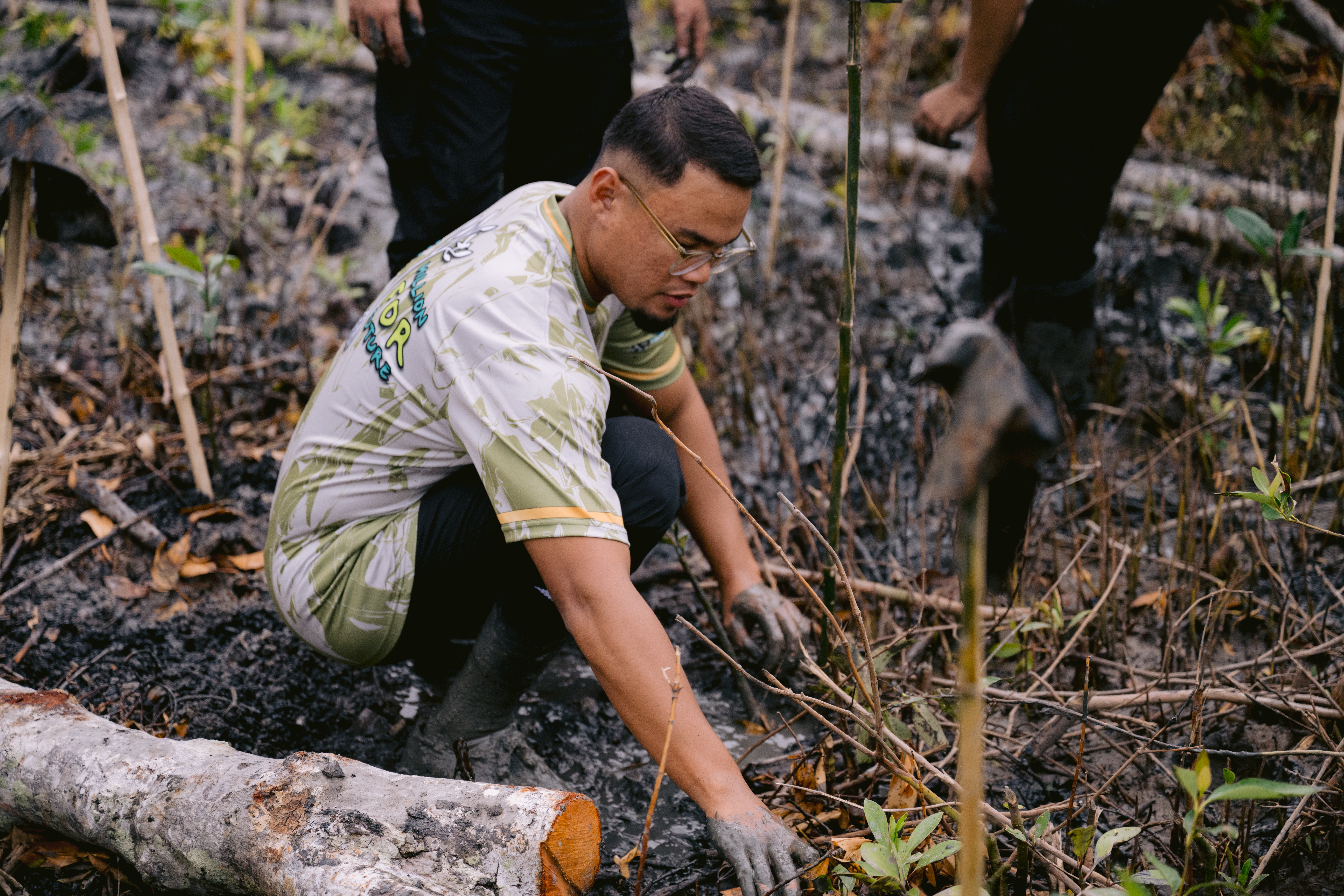 Tree Planting Initiatives