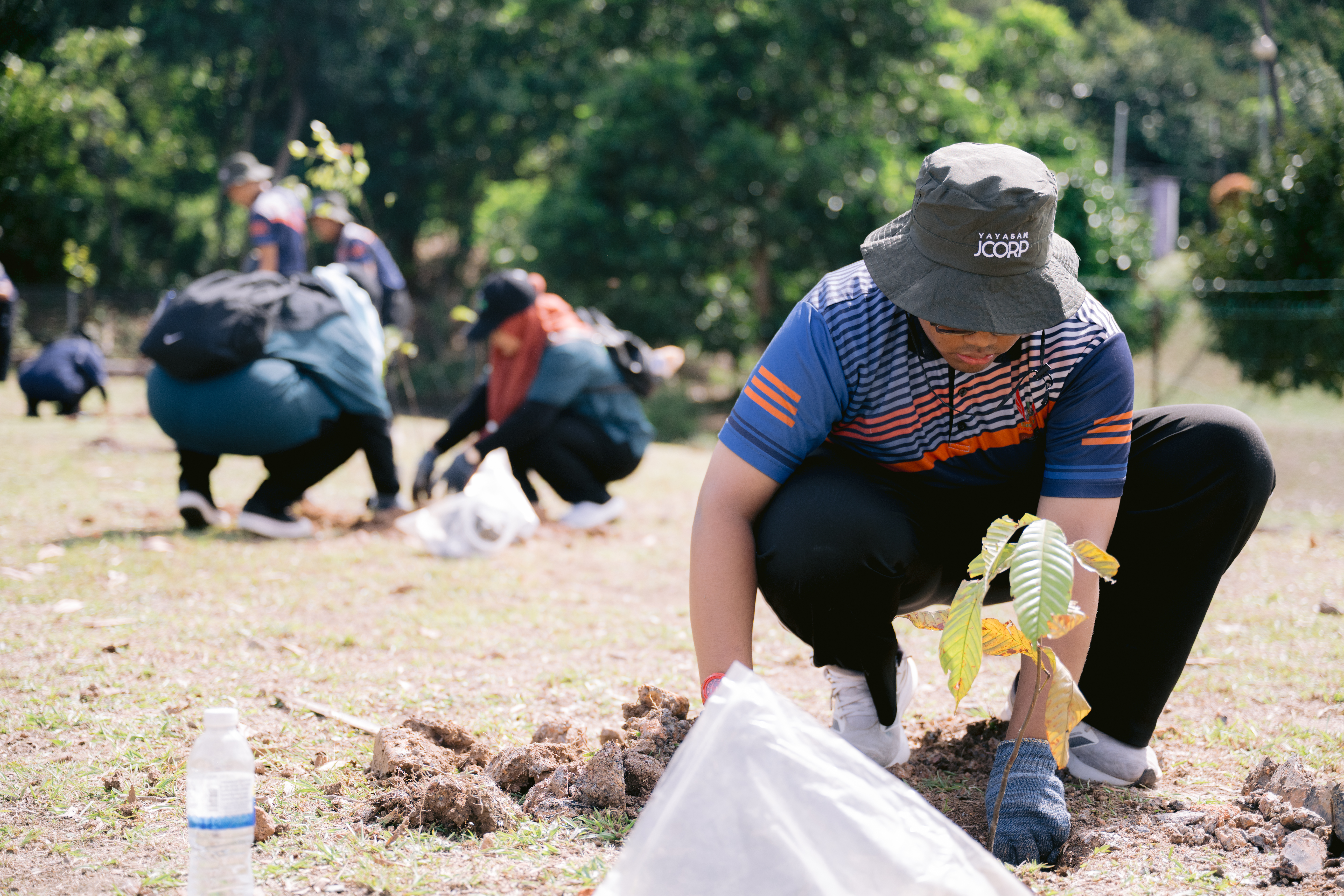 Tree Planting Initiatives