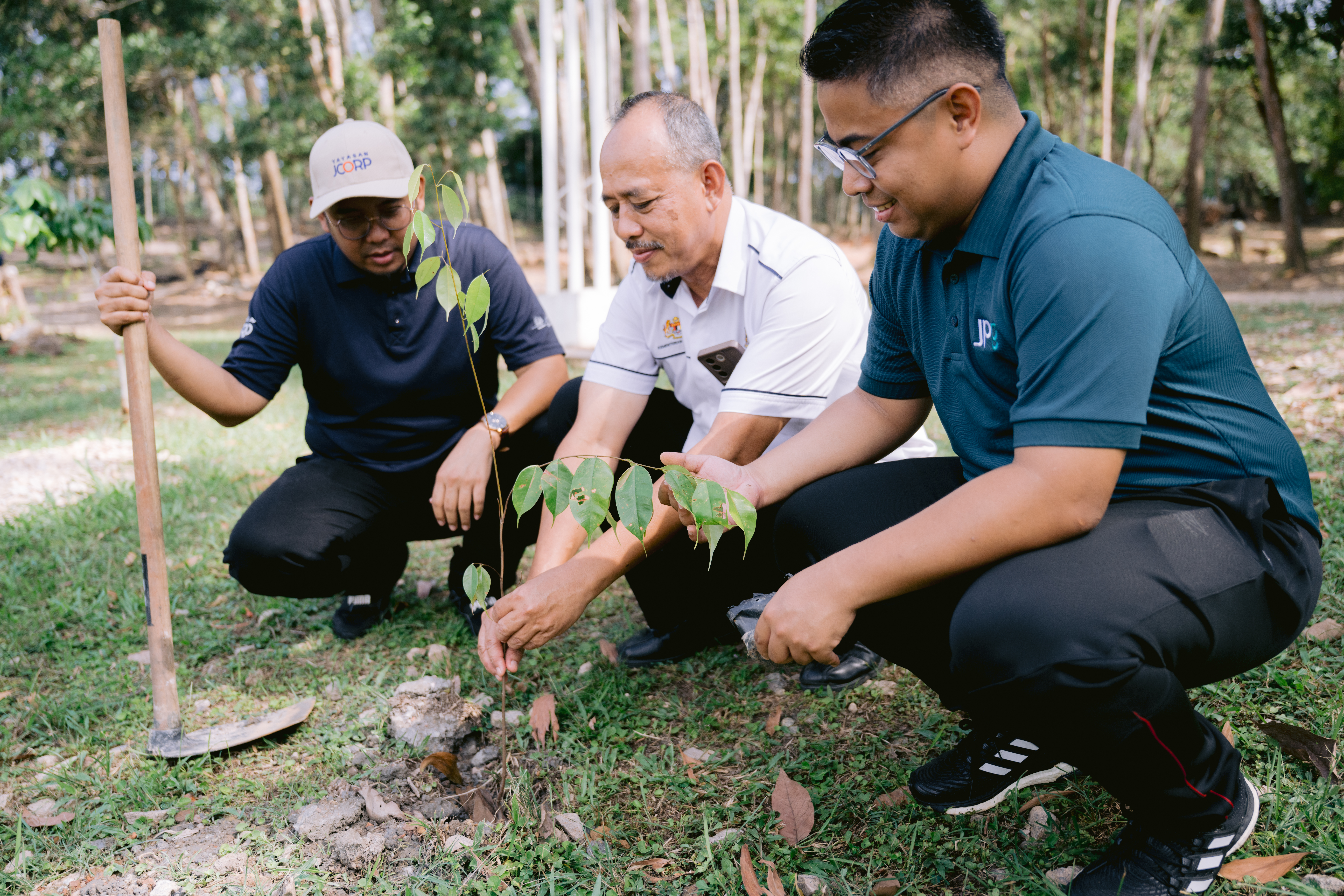 Tree Planting Initiatives