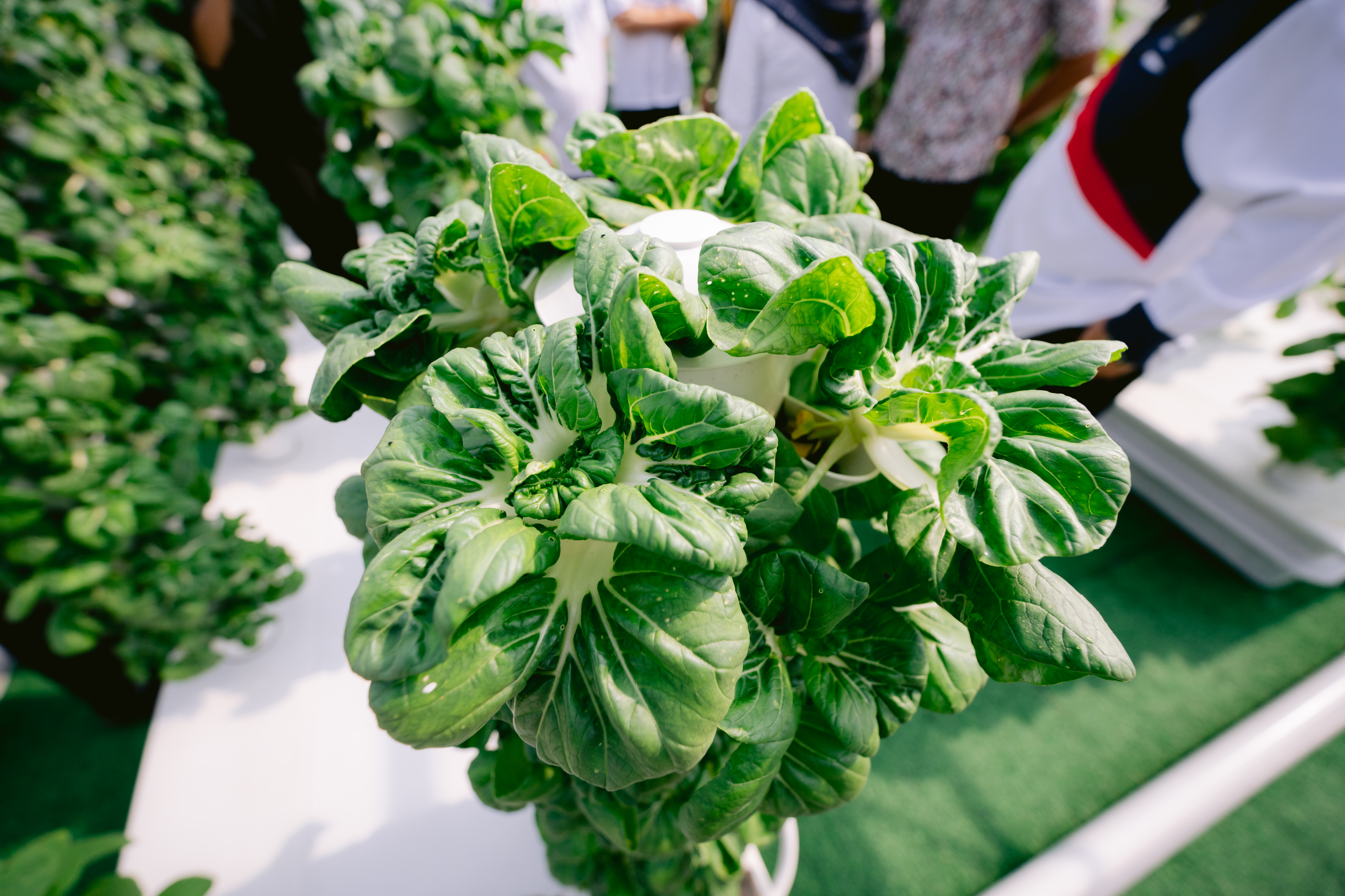 Smart Farming Starts Here