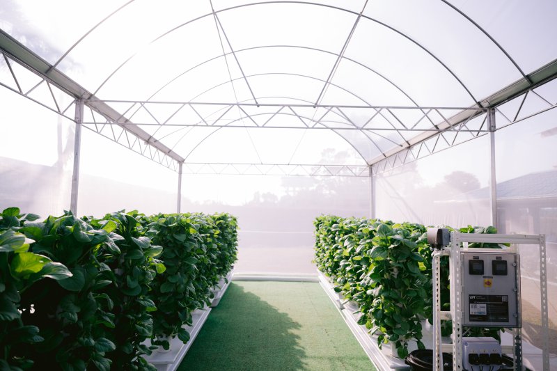 Sustainable School STEM Programme